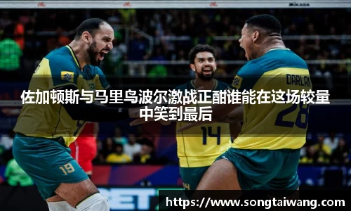 佐加顿斯与马里鸟波尔激战正酣谁能在这场较量中笑到最后